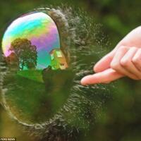 fotografi-indah-melihat-kehidupan-dalam-gelembung