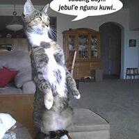 8-dongeng-super-sadis-yang-tidak-anda-tahu-20