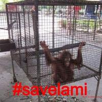 salat-di-ruang-kerja-ibu-dipecat-perusahaan