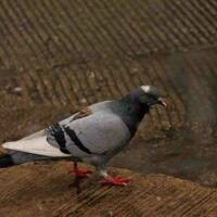 7-foto-bukti-karma-itu-memang-ada-ngakak