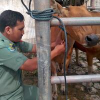 foto-regional-kaltim-ekspresikan-dirimu