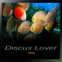 discus-lovers--regenerated----part-3