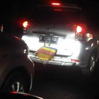 mudik-asik-sama-peliharaan