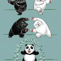 panda-a-least-racist-creature