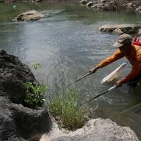 luar-biasa---hanya-di-jepang-ikan-koi-bisa-hidup-di-got-kapan-indonesia-bisa
