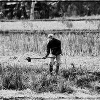 regional-garut--kota-intan-pangirutan--prime-id-only----part-3