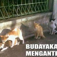 lagi-pada-mesum-nih-gancekibroot