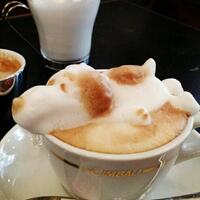 seni-menakjubkan-dalam-secangkir-kopi
