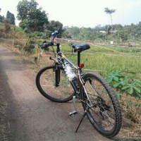 official-polygon-premier-all-series-users