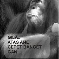 tanggapan-mengenai-kejadian-penodongan-senjata-oleh-oknum-polisi-saat-razia-dan-sms