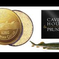 makanan-termahal-di-dunia-jangan-ngaku-anaknya-orang-kaya-kalo-belum-makan