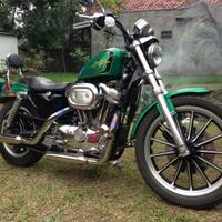 harley-davidson-lovers--enthusiast