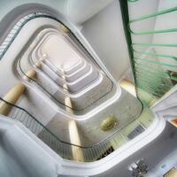 info-kecil-cameracoid