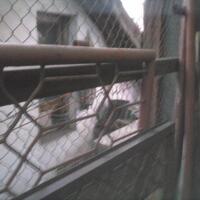 teambebyksk-bebyyers-beby-chaesara-anadila-jkt48-fansthread