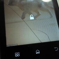 official-lounge-imo-s79-explorer