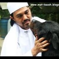 islam-dan-anjing
