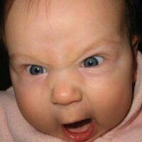 jokowi-potensi-dibunuh