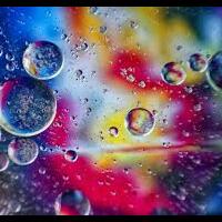 info-kecil-cameracoid