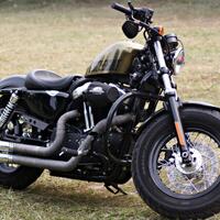 harley-davidson-lovers--enthusiast