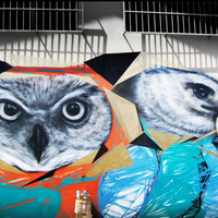 art-graffiti-burung-cewe-masuk--cowo-jg-gpp-sih