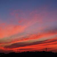 alun-alunnya-nikonian---part-11