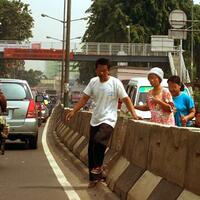 rip-zebra-cross-di-indonesia