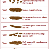 harusnya-tenggelam-atau-terapung