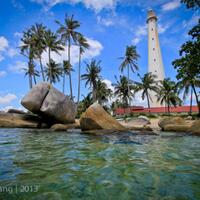 info-kecil-cameracoid