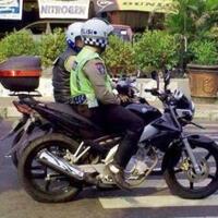 rip-zebra-cross-di-indonesia