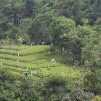 vespakuser-regional-bekasi