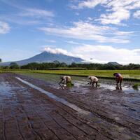 fotografi-kaskus-regional-malang