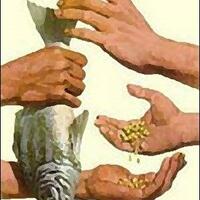 akhirnya-datang-juga--kitkat-os-android-44-terbaru-dari-google