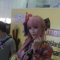 afa-id-2013