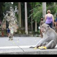 5-tempat-liburan-favorit-di-bali