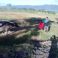 the-matador-from-indonesia