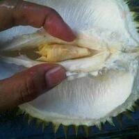 new-lounge-forum-wedding-prime-id-only---part-17