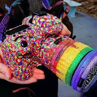 info-kecil-cameracoid