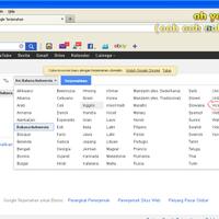 di-google-translate-juga-ada-bahasa-vicky-gan