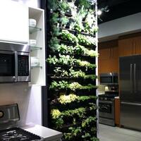 kreasi--ide-pada-lahan-sempit