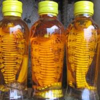 perempuan-di-china-digigit-ular-yang-sudah-diawetkan-3-bulan