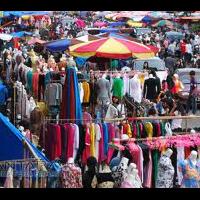 rip-zebra-cross-di-indonesia