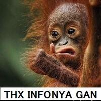 bedain-meme-rage-face-rage-comic-dan-cara-penggunaanya-yuk