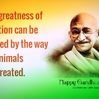 bahaya-paracetamol-kalo-dikasi-ke-kucing-cat-lovers-masuk-gan