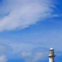 info-kecil-cameracoid