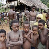 papua-maju--tni-dipercayakan-nilai-proyeknya-mencapai-rp-425-miliar