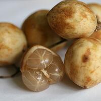 7-buah-nostalgia-yang-mulai-terlupakan