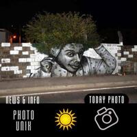 info-kecil-cameracoid