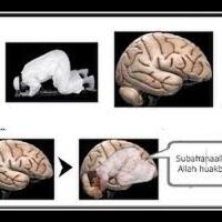 5-misteri-unik-otak-manusia