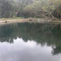 post-image