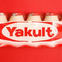 mengintip-isi-minuman-yakult